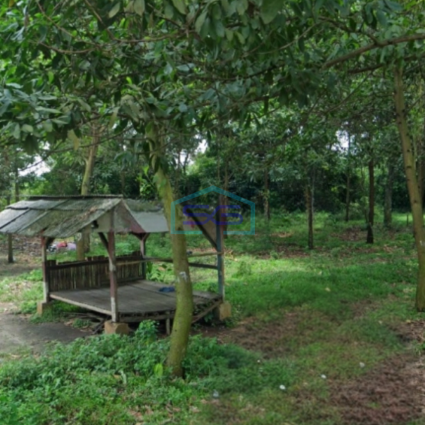 Dijual Tanah Strategis Untuk Industri Luas 12 Hektar Di Rangkasbitung Lebak Banten-3