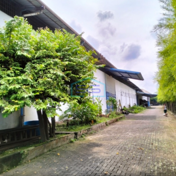 Disewakan Gudang Siap Pakai di Jl Aria Kemuning Periuk Tangerang LB 5000m2-4