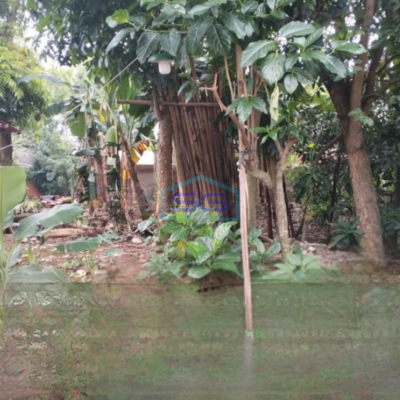 Dijual Tanah Strategis Bebas Banjir di Ciater Serpong Bsd Tangerang