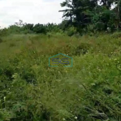 Dijual Tanah Luas 70000 m² di Lego Tangerang Harga Bisa Nego