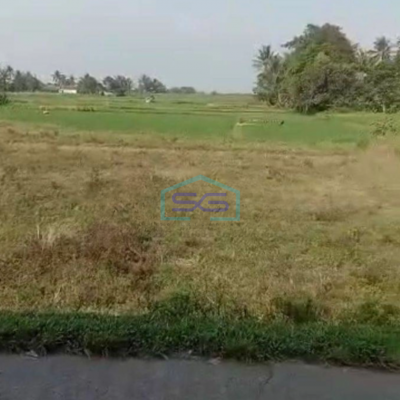 Dijual Tanah Luas  160000 m² Lokasi Strategis di Tigaraksa Tangerang