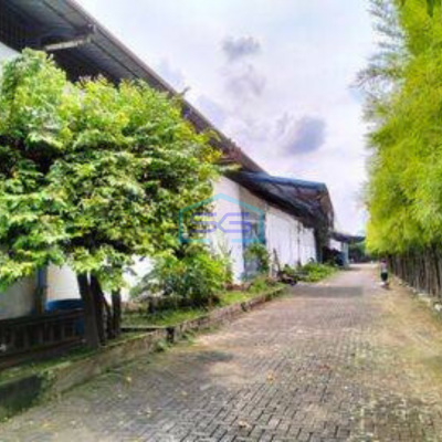 Disewa Gudang Bagus Luas 1800 m² di Pergudangan Periuk, Tangerang