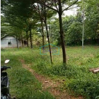 Dijual Tanah Kavling Siap Bangun di Daerah Bogor LT 30000m2