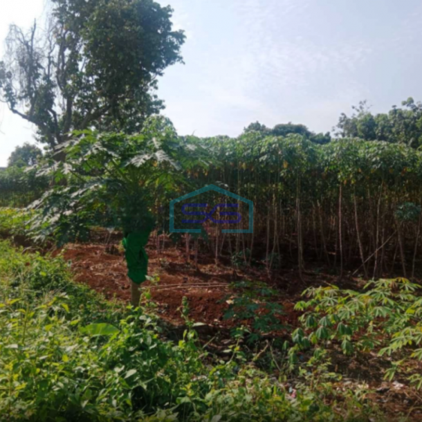 Dijual Tanah Kavling Cocok Untuk Pergudangan Gunung Sindur Bogor LT 3300m2-3