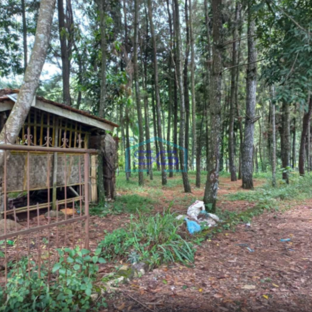 Dijual Tanah Kavling Dekat Jalan Raya Panca Kota Sukabumi Luas Tanah 25000m2-3