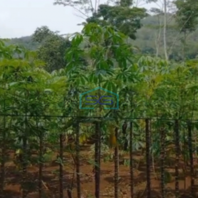 Dijual Tanah Kavling Dekat Jalan Raya Panca Kota Sukabumi Luas Tanah 25000m2