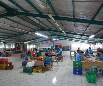 Disewakan Ex pabrik kapuk kayu besar - Jakarta barat