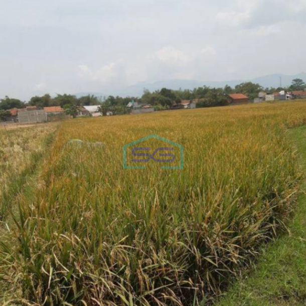 Dijual Cepat Tanah di Ciparay Bandung LT 4079m2-2