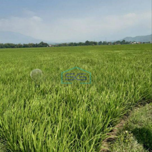 Dijual Cepat Tanah di Ciparay Bandung LT 4079m2-1