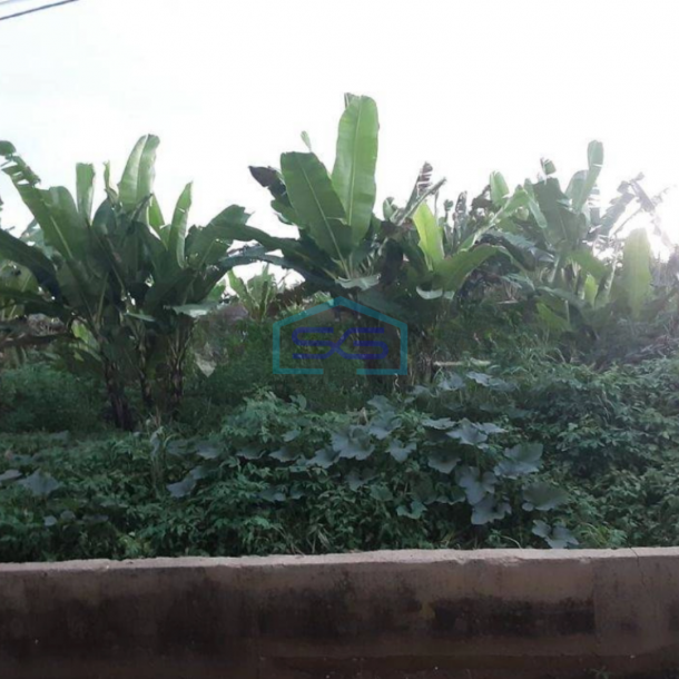 Dijual Tanah di Kutai Kalimantan LT 8000m2 Posisi Strategis-1
