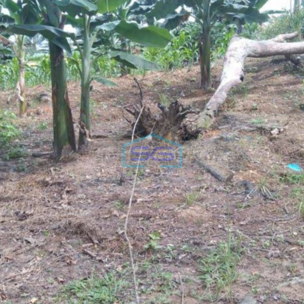 Dijual Tanah Kondisi Bagus di Balikpapan LT 9512m2-1