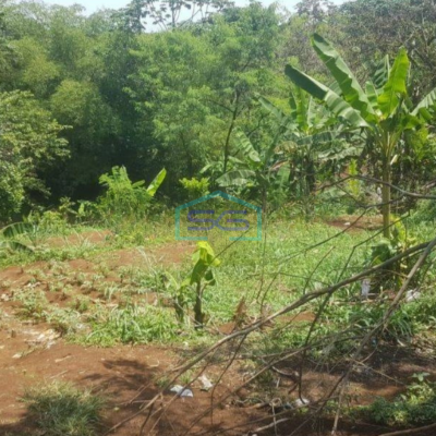 Dijual Tanah 5185m2 Pinggir Jalan Kayu Manis Semplak Bogor