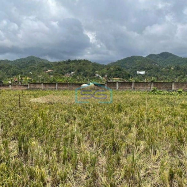 Dijual Tanah Bagus di Cisolok Pelabuhan Ratu Sukabumi Luas 2550m2-1