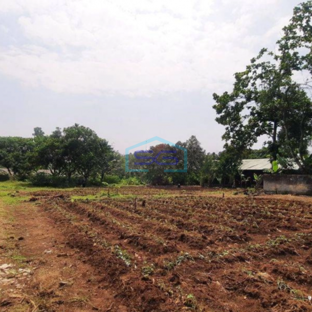 Dijual Tanah Curug Bojongsari Depok 11000 m2 Akses Mobil-2