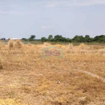 Disewakan Tanah Industri Luas 5000 m² di Sidoarjo Jawa Timur