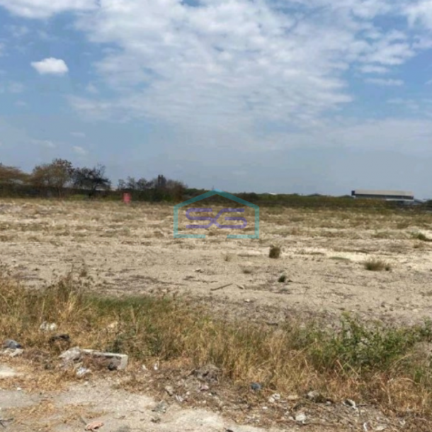 Disewakan Tanah Luas 50000 m²  Lokasi Surabaya-1