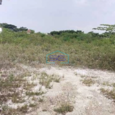 Disewakan Tanah Luas 5000 m² Lokasi Margomulyo Surabaya