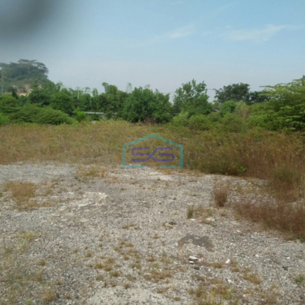 Disewakan Tanah Lokasi Gresik Luas 15000 m²-1