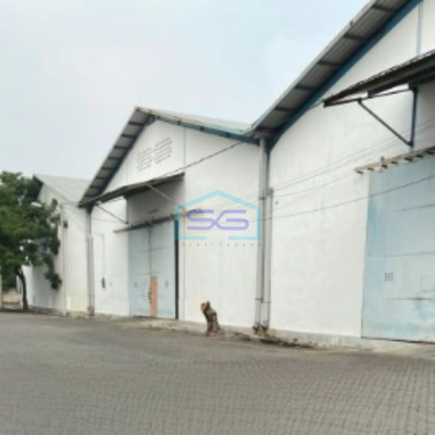 Disewakan Gudang Luas Tanah 30000 m² Lokasi Gresik Kota