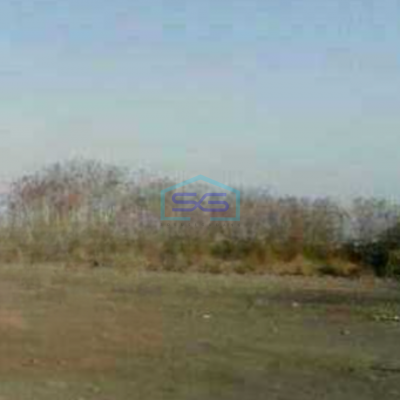 Disewakan Tanah 40000 m² Lokasi Manyar Gresik