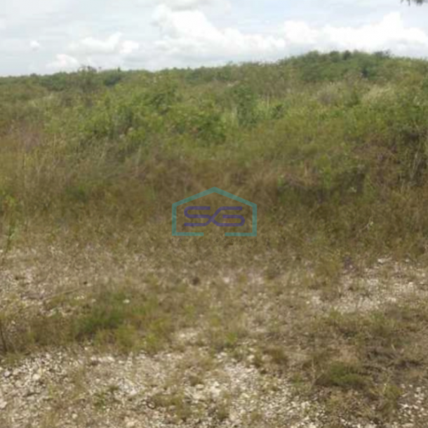 Disewakan Tanah Luas 70000 m²  Lokasi Margomulyo Surabaya-1