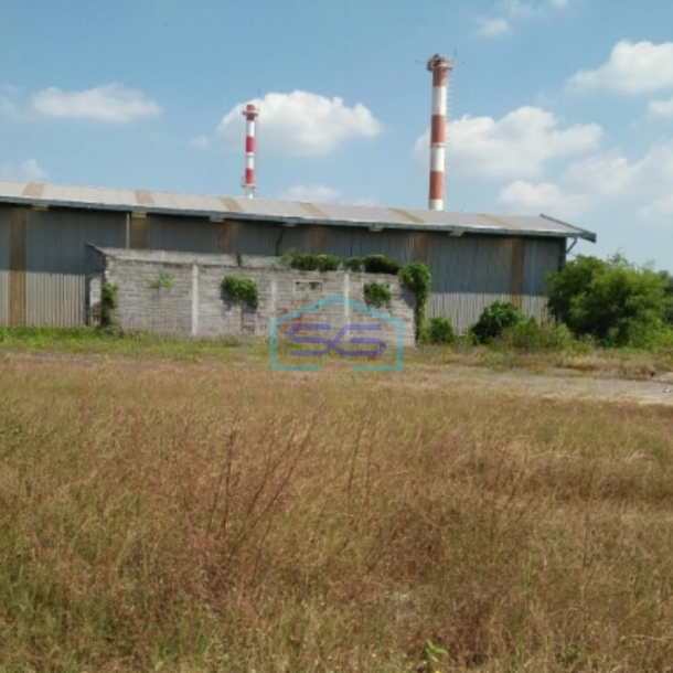 Disewakan Tanah Luas 5500 m² Lokasi Gresik Jawa Timur-1