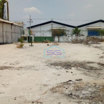Dijual Cepat Tanah Luas 3000 m²  Lokasi Gresik Jawa Timur