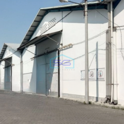 Disewakan Gudang Lokasi Tidak Banjir di Surabaya Kota Luas Bangunan 23000 m²