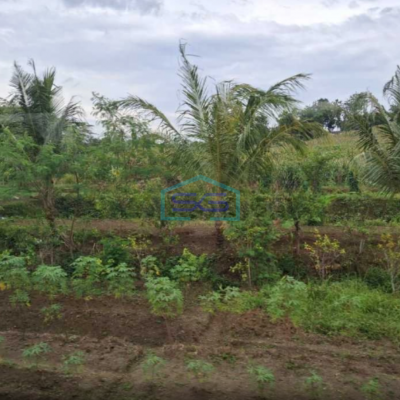 Dijual Tanah Murah Lokasi Elite Hook Setra Duta Bandung Utara LT 1400m2