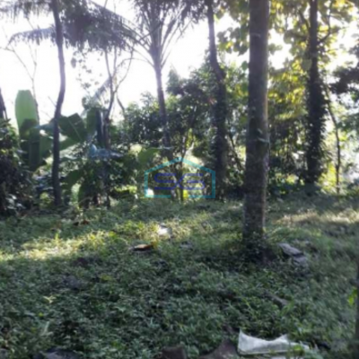 Dijual Paling Murah Tanah Cipeundeuy Bandung Luas Tanah 1200m2