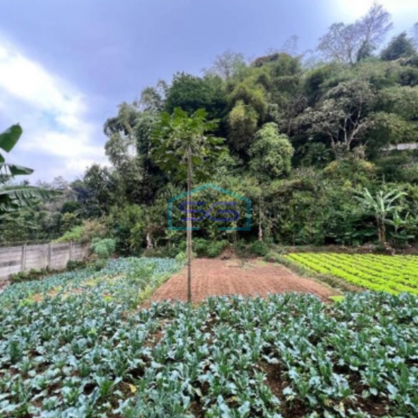Dijual Murah Tanah Ciwaruga Parongpong Bandung Utara LT 1768m2-4
