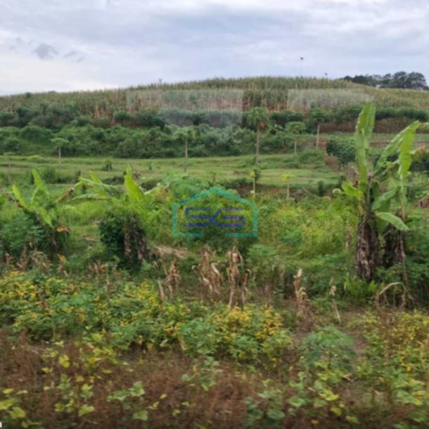 Dijual Tanah Strategis Cocok Untuk Usaha Pasteur Bandung Luas Tanah 3680m2-3