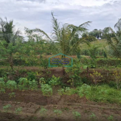 Dijual Tanah Strategis Cocok Untuk Usaha Pasteur Bandung Luas Tanah 3680m2