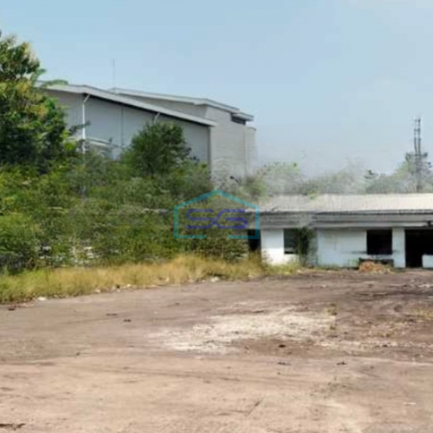 Disewakan Tanah Murah Lokasi di Sunter Jakarta Utara-2