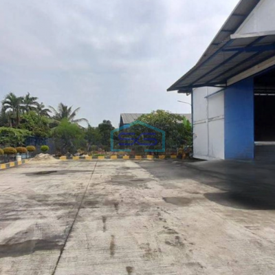 Disewakan Gudang di Tangerang Luas Tanah  10000 m²