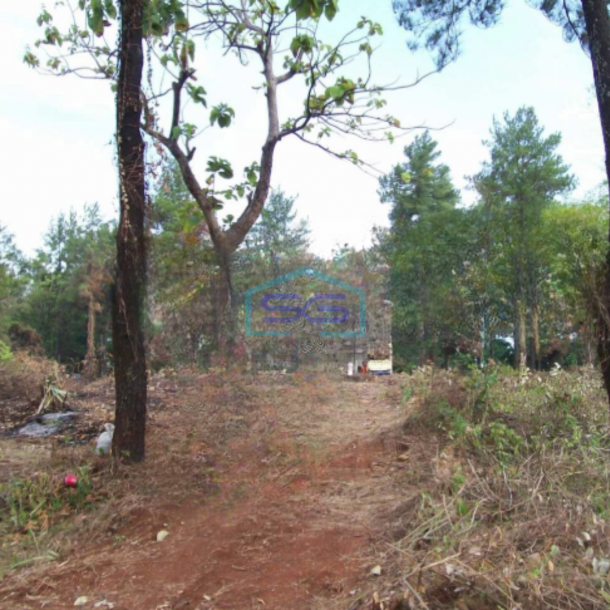 Dijual Tanah Murah Luas 24337 m² Lokasi Strategis di Subang Kota Jawa Barat-1