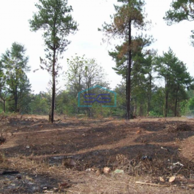 Dijual Tanah Murah Luas 24337 m² Lokasi Strategis di Subang Jawa Barat