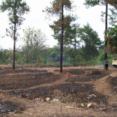 Dijual Tanah Murah Luas 24337 m² Lokasi Strategis di Subang Jawa Barat