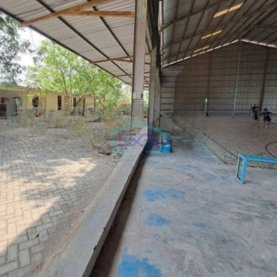 Dijual Tanah Luas  4991 m² Lokasi Bebas Banjir di Kapas Bojonegoro