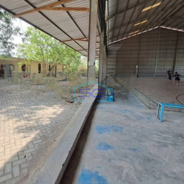 Dijual Tanah Luas  4991 m² Lokasi Bebas Banjir di Kapas Bojonegoro-3