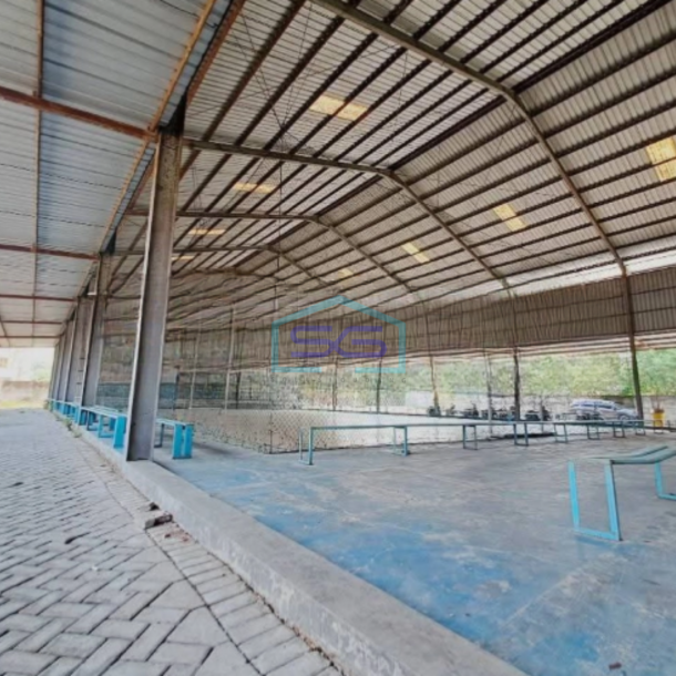 Dijual Tanah Luas  4991 m² Lokasi Bebas Banjir di Kapas Bojonegoro-2