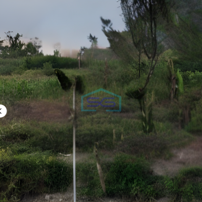 Dijual Tanah Bonus Bangunan di Mlati Sleman Yogyakarta LT 15000m2