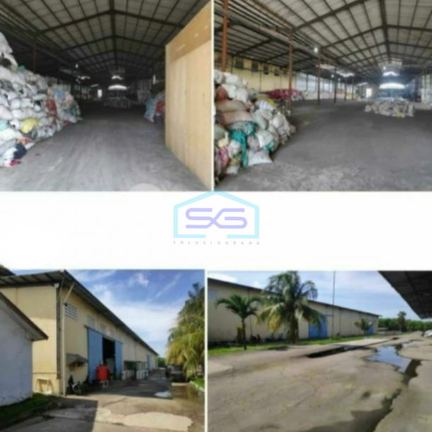 Dijual Gudang + Kantor Siap Pakai di Zona Pergudangan Mauk Tangerang Siap Huni LT 50000m2-4