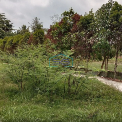 Dijual Tanah Strategis di Sleman Yogyakarta Luas Tanah 1959m2