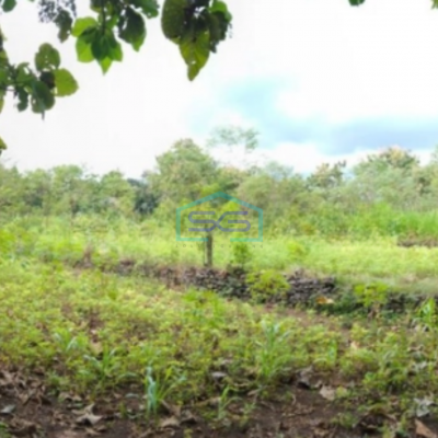 Dijual Tanah LT 7638m2 di Bendungan Karangmojo Gunung Kidul Yogyakarta Strategis Murah