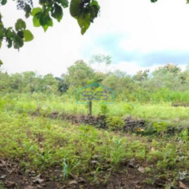 Dijual Tanah LT 7638m2 di Bendungan Karangmojo Gunung Kidul Yogyakarta Strategis Murah-3