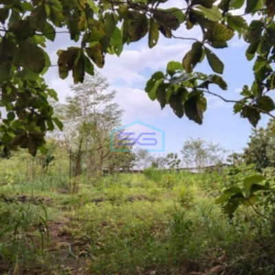 Dijual Tanah LT 7638m2 di Bendungan Karangmojo Gunung Kidul Yogyakarta Strategis Murah