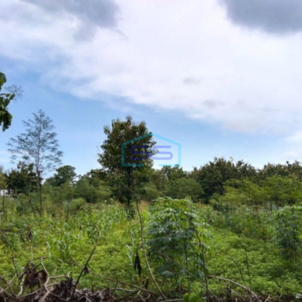 Dijual Tanah LT 7638m2 di Bendungan Karangmojo Gunung Kidul Yogyakarta Strategis Murah-1