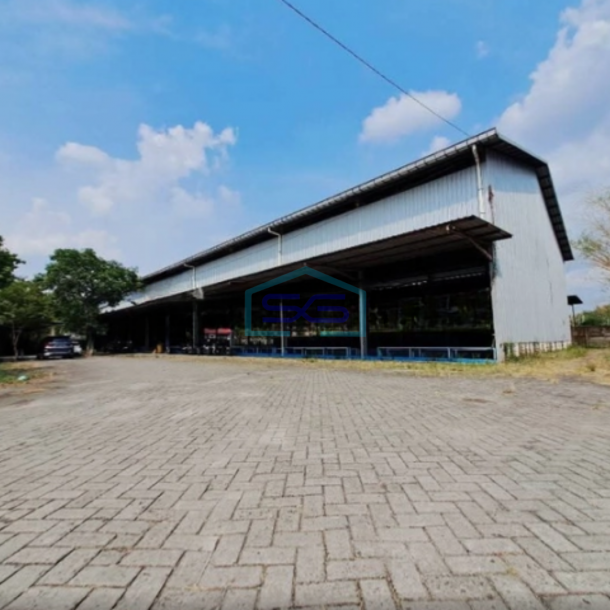 Dijual Tanah Bonus Gudang Luas Tanah 4991m2 Kapas Bojonegoro Jawa Timur-1