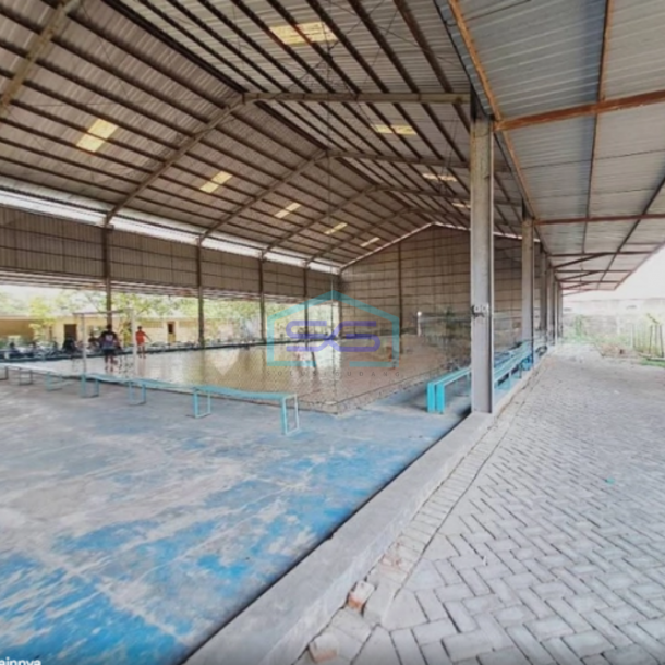 Dijual Tanah Bonus Gudang Luas Tanah 4991m2 Kapas Bojonegoro Jawa Timur-4